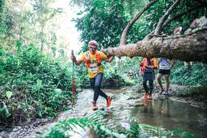 BIB: 
                            <button type="button" onclick="openModal(25443516)" class="btn btn-primary btn-sm float-right btn-popup" data-toggle="modal" data-target=".modal-high-quality">
                        <i class="fas fa-shopping-cart"></i> Add to Cart
                    </button>
                                            <button type="button" onclick="isThisMe(25443516, true)" class="btn btn-success btn-sm float-right btn-popup btn-isme hidden" data-toggle="tooltip" data-placement="bottom" title="นี่คือรูปของคุณใช่ไหม คลิกที่นี่เพื่อเอาเข้าอัลบั้ม">
                        <i class="fas fa-plus"></i> Add to album
                    </button>
                    <button type="button" onclick="isThisMe(25443516, false)" class="btn btn-warning btn-sm float-right btn-popup btn-isnotme hidden">
                        <i class="fas fa-ban"></i> Remove from album
                    </button>